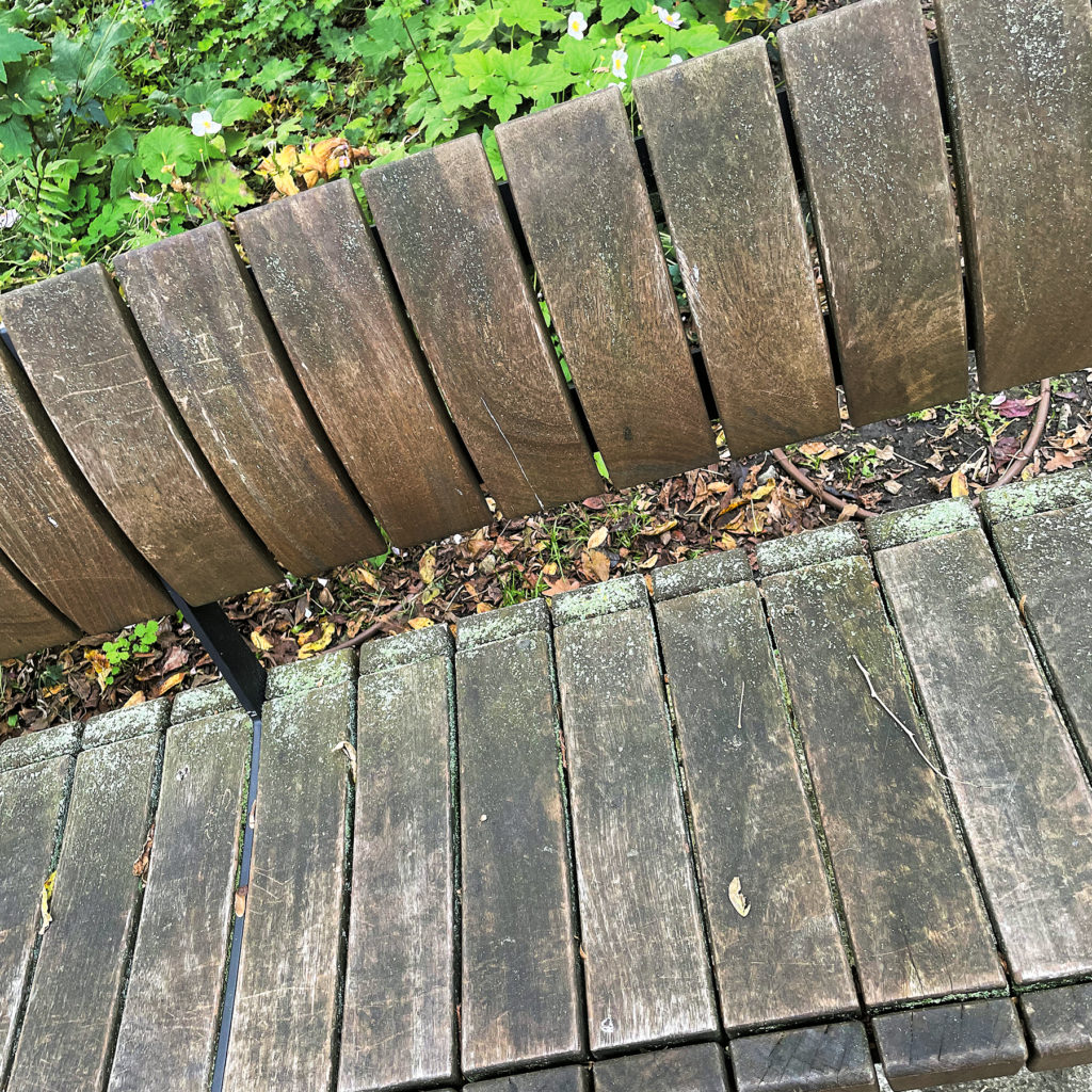 Gnijące ławki na Placu Axentowicza