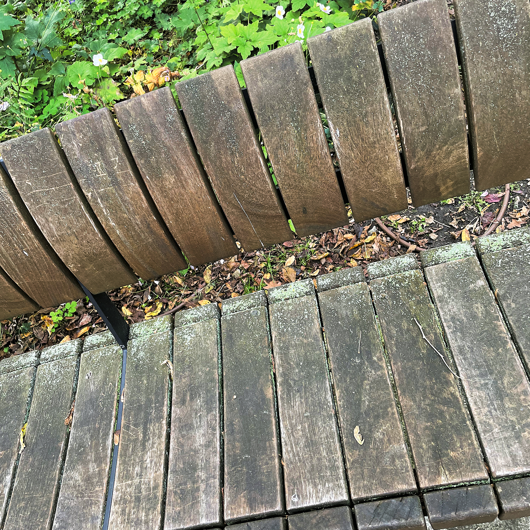 Gnijące ławki na Placu Axentowicza